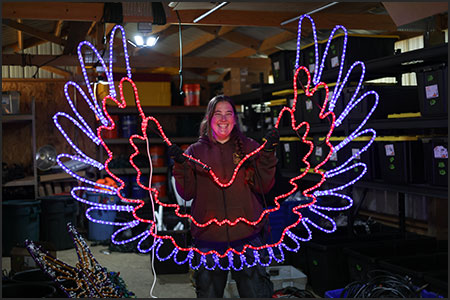 Electric Safari light sculpture wings