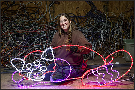 Electric Safari lighted sculpture