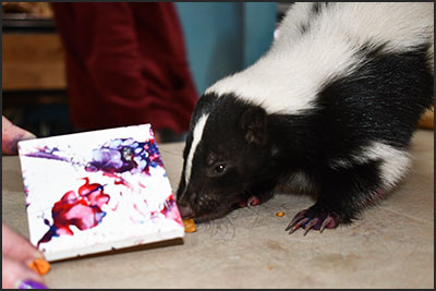 Skunk holiday Animal Art ornament