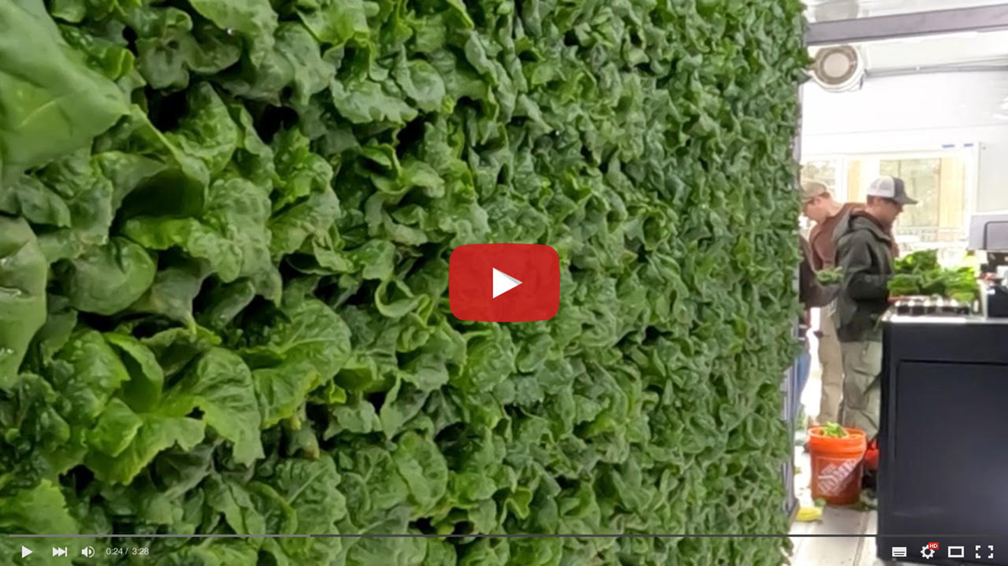 New Shipping Container Farm Produces its First Crop CMZoo