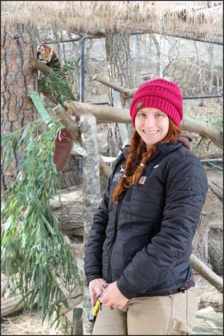 Jessi with Cora, red panda at Cheyenne Mountain Zoo