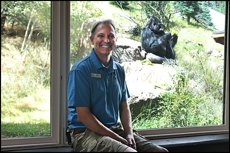 CMZ Animal Keeper Jon, with Western Lowland gorilla Goma in background