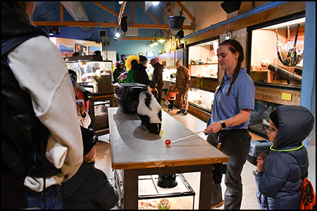 Boo at the Zoo table scene at Cheyenne Mountain Zoo