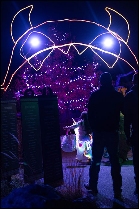 Boo at the Zoo spooky light sculpture at Cheyenne Mountain Zoo evening event