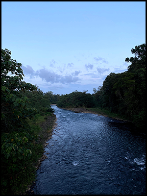 Costa Rican river scene