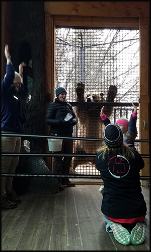 Keepers with guests at a grizzly bear encounter in Rocky Mountain Wild