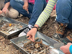 Teens with forest gatherings in wilderness survival program