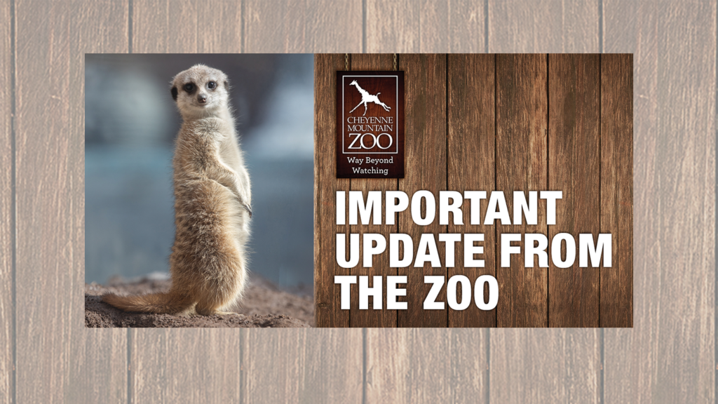 CHEYENNE MOUNTAIN ZOO CLOSES TEMPORARILY; PLANS TO REOPEN APRIL 17