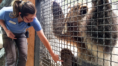 Featured Animals - Grizzly Bear - CMZoo