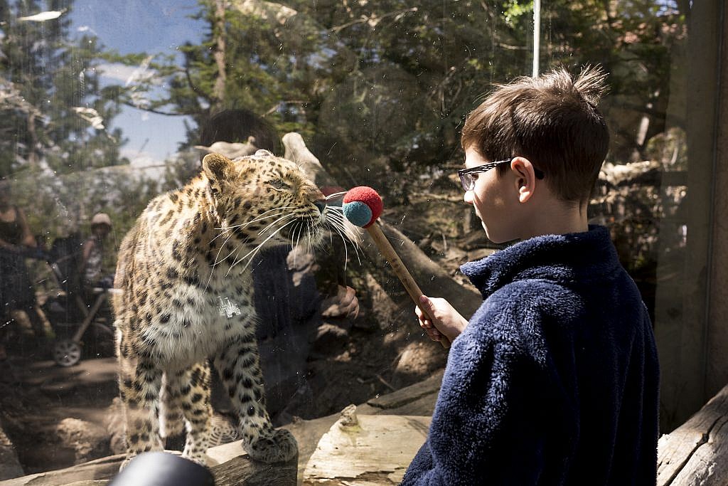 Support the Zoo CMZoo