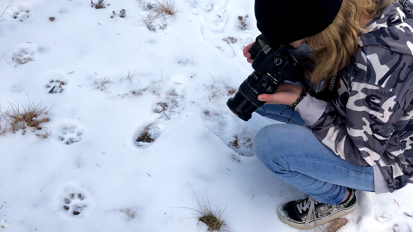Outdoor School - person photographing animal tracks and scat in the snow
